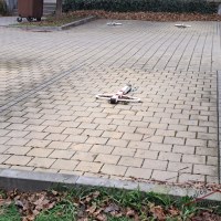 31213_1791827554.jpg