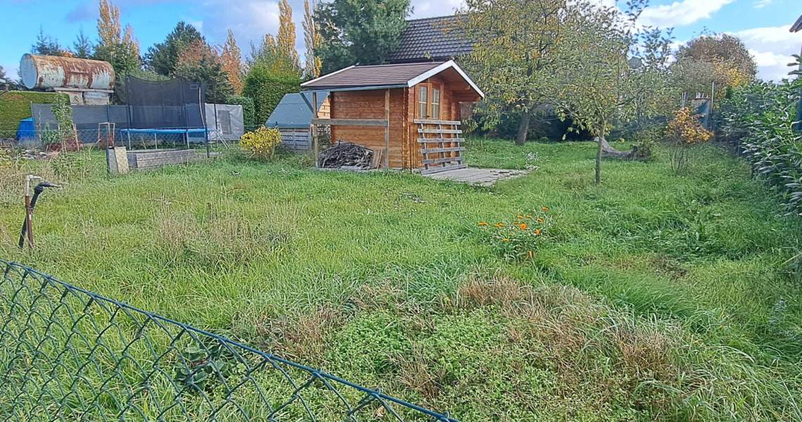 317_0223423104.jpg